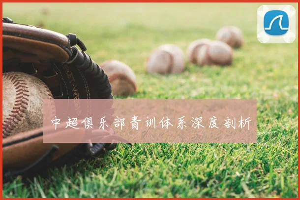 中超俱乐部青训体系深度剖析